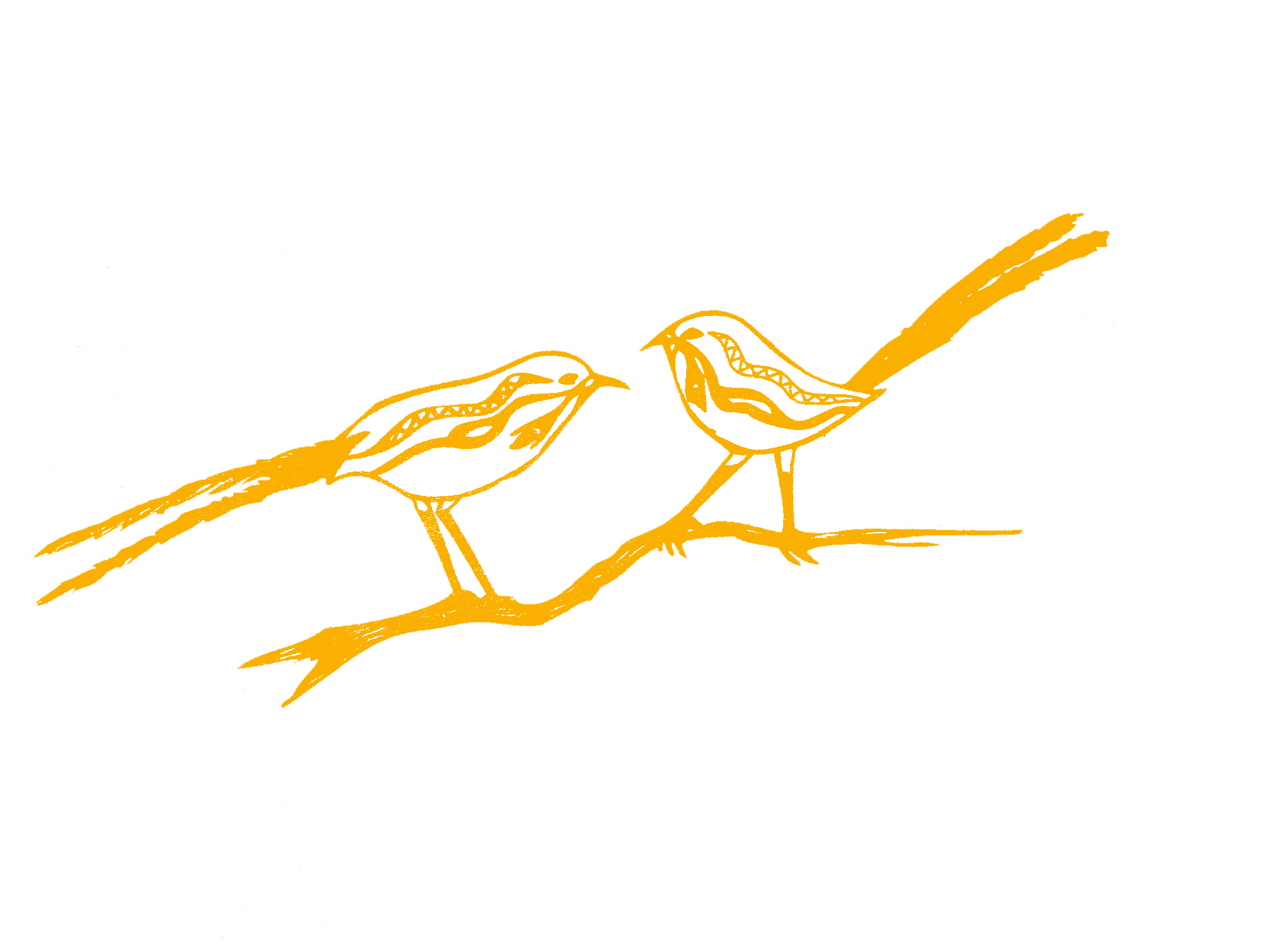 Fairy-Wren-Illustration